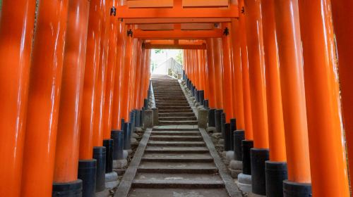 Kyoto in a Day: The Ultimate Top 4 Highlights Tour (From Osaka/Kyoto) Day Tours