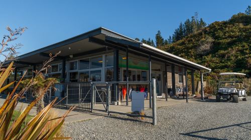 Westcoast Treetop Walk & Tower Zipline