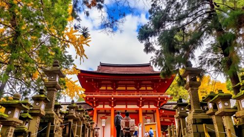 From Osaka Port: Private 10-Hour Nara Tour (with Customizable Itinerary)