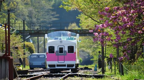 1-day tour in Kyushu, Japan – Takachiho Gorge, Sky Train