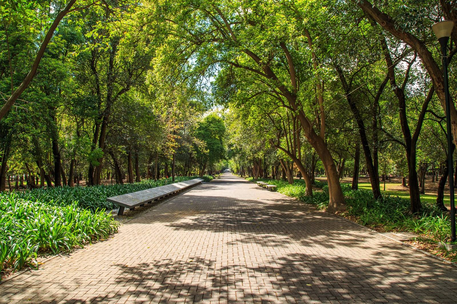 Private Tour to Chapultepec Park by Bike