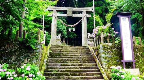 Miyazaki & Kumamoto 1-Day Tour: Ama-Iwato Shrine & Takachiho Gorge (Free Shuttle)