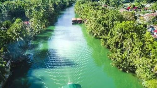 Bohol Island Dolphin Watching & Balicasag Island Snorkeling & Loboc River & Chocolate Hills & Tarsier & Butterfly Garden