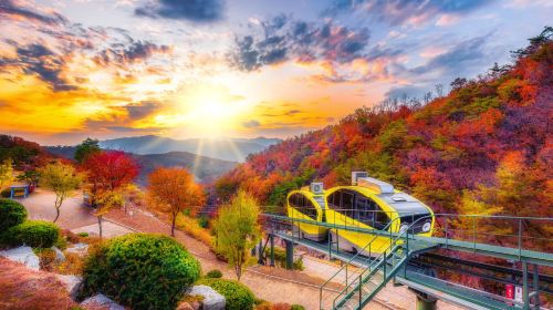 Hantangang UNESCO Geopark & Pocheon Highlights Tour from Seoul