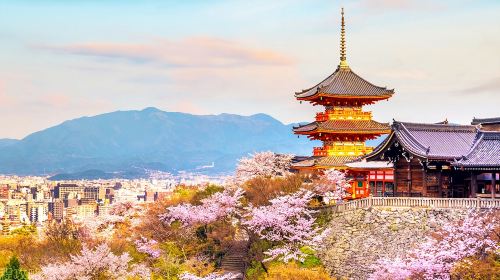 Kyoto & Nara Classic Day Tour with Friendly Deer
