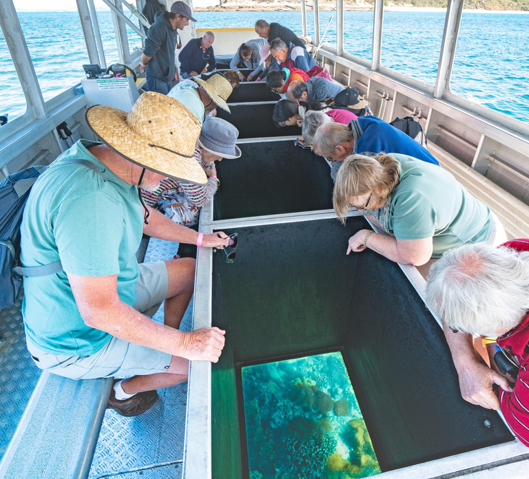 From Rosslyn: Great Keppel Island Adventure Tour with Lunch