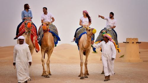 Abu Dhabi Al Khayma Seahorse Morning Dune Bashing Experience Day Tours