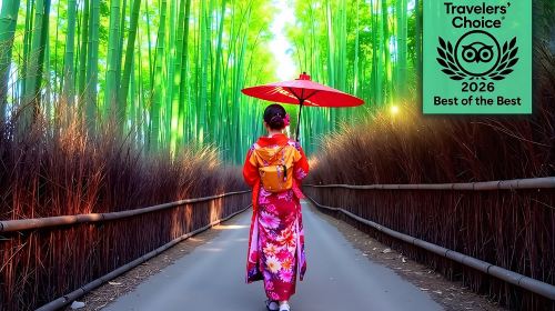 Ultimate Kyoto Arashiyama Tour: Bamboo, Monkeys & Hidden Gardens Day Tours