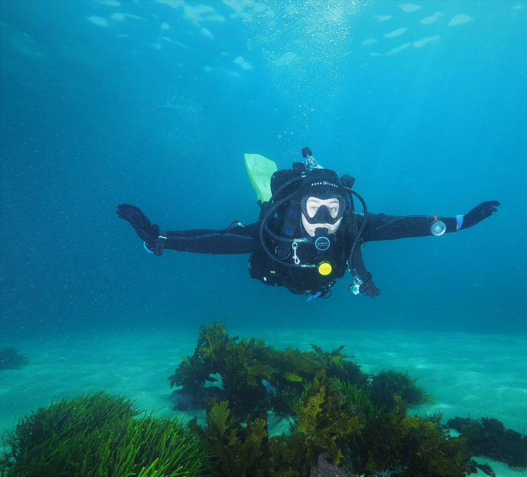 Sydney: Discover Scuba Dive at Australia's most Iconic Beach