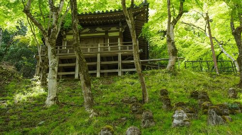 Otagi Nenbutsu Temple and Arashiyama Bamboo Forest Tour Day Tours