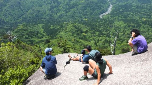 1-day tour to Yakushima's Shiratani Unsuikyo ravine – Step into the magical moss kingdom of Princess Mononoke