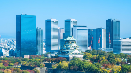 Private Charter Tour: Osaka, Kumano Kodo, Nachi Waterfall & Nachi Taisha in Japan