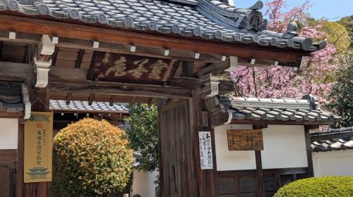 Kyoto Uji Hōzen-in Temple Zen meditation experience with refined dessert 'Temple sesame pudding'