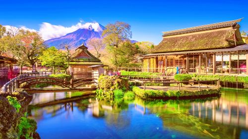 One-Day Fuji Mountain Hot Spring Tour Day Tours
