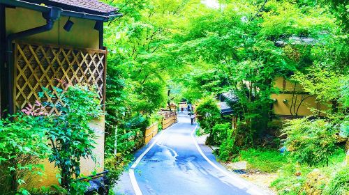 1-day classic small group tour from Osaka – Sanzen-in, Kifune Shrine