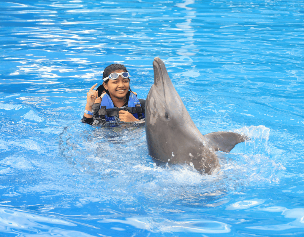 Bali Dolphin: Discovery Program "Swim with Dolphin"