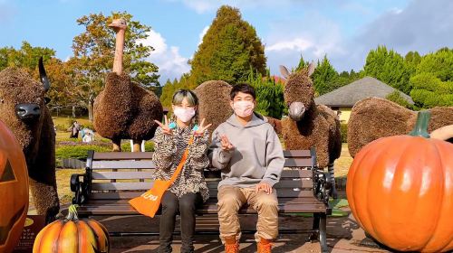 one-day tour of Kyushu Zoo in Oita,Ghibli Town & Animal Interaction Tour
