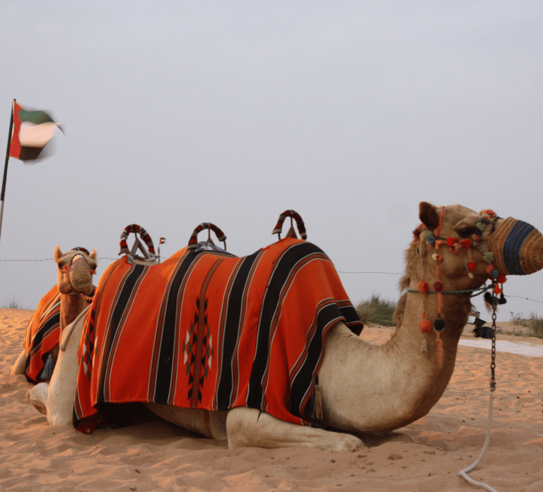 Dubai 4WD Evening Desert Safari
