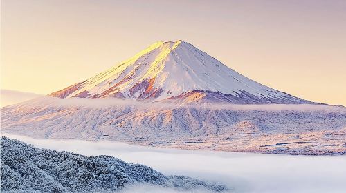 1-day tour to Mount Fuji, Oshino hakkai, 5th station and Gotemba Premium Outlets from Tokyo