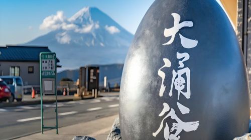 From Yokohama Port: Private 10-Hour Hakone Tour (with Customizable Itinerary)