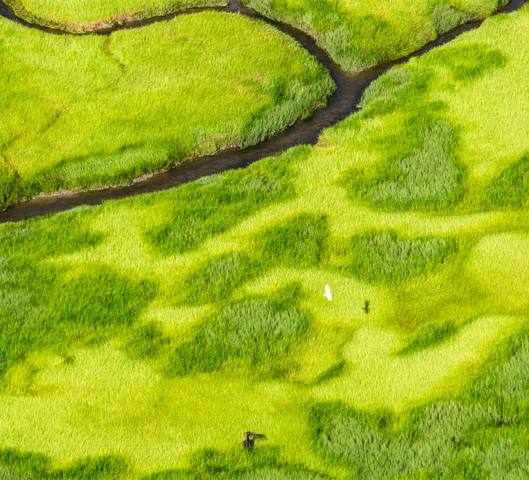 Jabiru: Guided Flight over Kakadu National Park