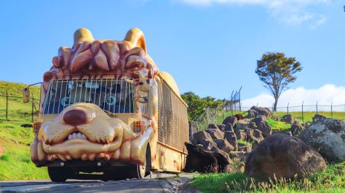 one-day tour of Kyushu Zoo in Oita,Ghibli Town & Animal Interaction Tour