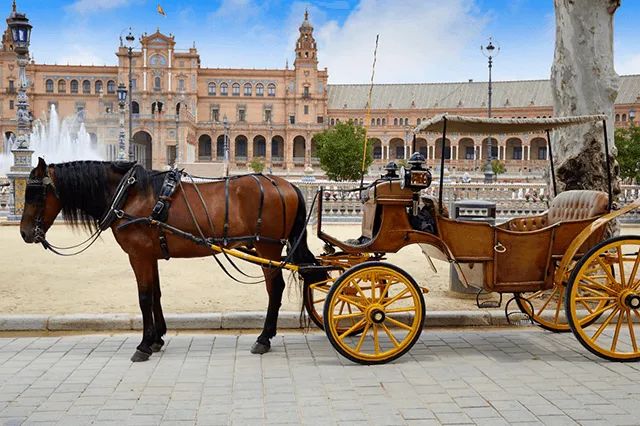 Carriage ride through in Seville