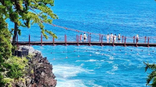 Tokyo 1-day tour to Mt. Omuro + Jogasaki Coast + Ito Marine Town, including free cable car ride at Mt. Omuro