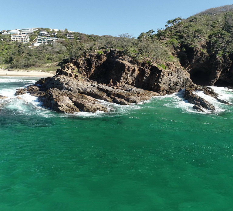Noosa: Noosa Ocean & Dolphin Adventure