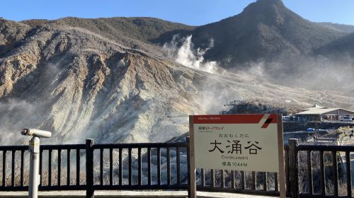 Hakone Free Pass Transport Passes