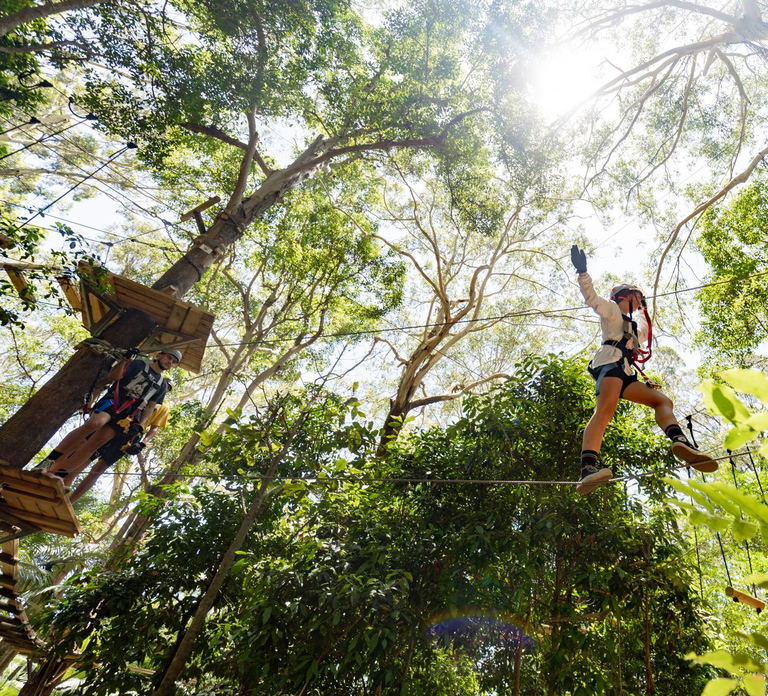 Currumbin Wildlife Sanctuary & High Ropes and Ziplines
