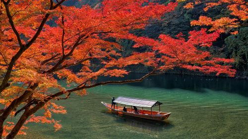 [Pure Fun] Sanzen-in Temple + Arashiyama + Arashiyama Sagano Sightseeing Train one-day tour to Osaka, Kyoto, Japan Day Tours