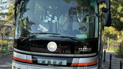 Nara Tōdai-ji, Mount Wakakusa, Kohfukuji Temple and Kasugataisha Shrine sightseeing bus