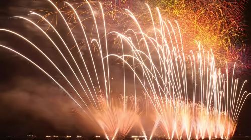 1-day tour to Tone river fireworks festival + Kawagoe little Edo on September 19 (departing from Tokyo) Day Tours