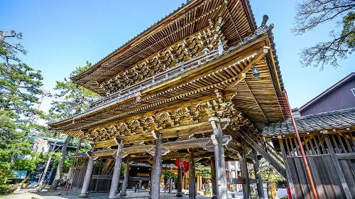 Amanohashidate scenic views + Chionji Temple prayers + feeding seagulls at Ine Bay 1-day tour, Kyoto slow travel
