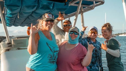 Eco-Raft Tour: Eye-Level Whale or Dolphin Watching from Lahaina