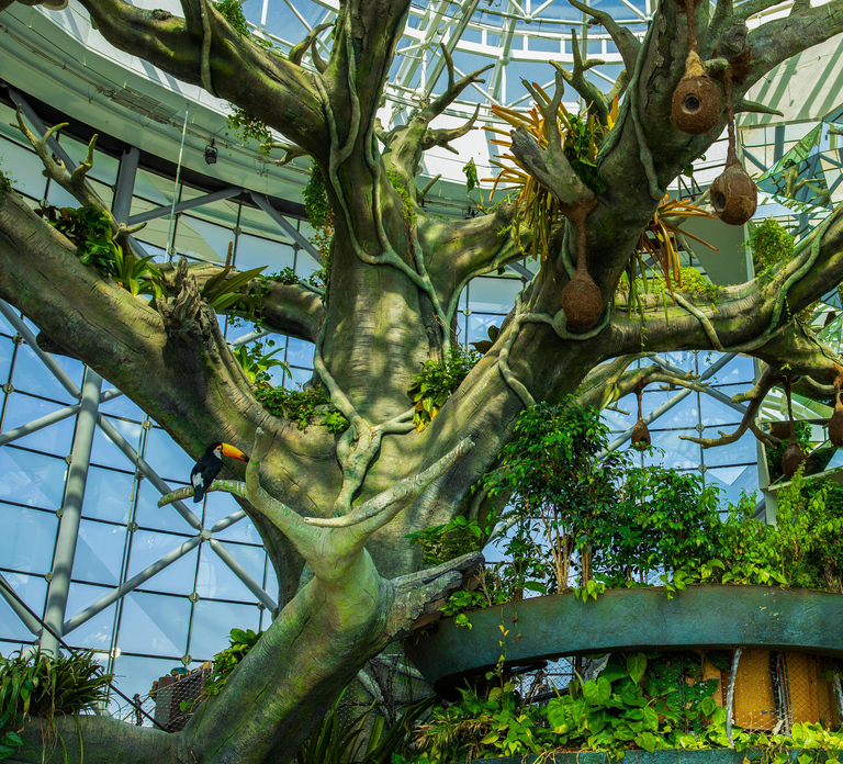 The Green Planet - Dubai's Unique Indoor Rainforest