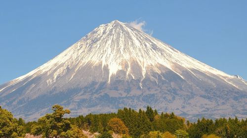 Private Charter Mount Fuji Area for 10 Hours Day Tours