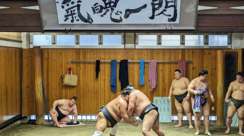 Sumo Practice Viewing Guided Tour and Photo with Sumo Wrestlers Day Tours