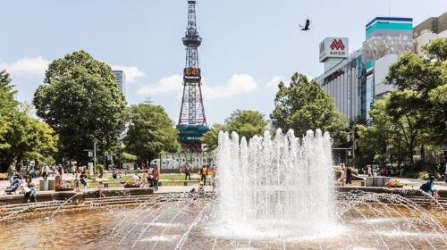 Sapporo Private Tour with a Local – Highlights & Hidden Gems Day Tours