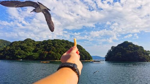 Kyoto in One Day: Amanohashidate, Ine Funaya & Miyama Thatched Village Day Tours