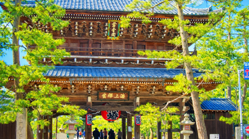 Explore the hidden gems of the sea of Kyoto! 1-day tour to Amanohashidate & Ine boat houses