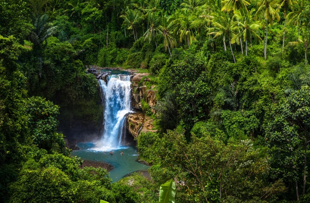 Ubud Highlight and ATV Adventure Package