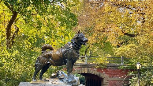 Central Park Pedicab Rickshaw Tours Day Tours