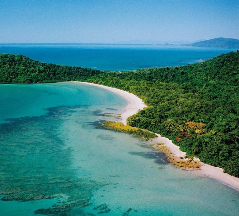 Port Douglas: Daintree Rainforest and Mossman Gorge Tour