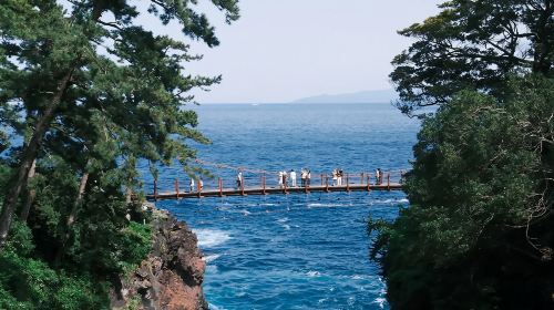 1-day tour to Mt. Omuro + Jogasaki Coast + coastal highway in Izu, Japan