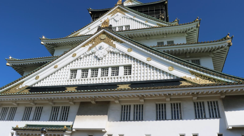 Private Charter Tour: Osaka, Kumano Kodo, Nachi Waterfall & Nachi Taisha in Japan