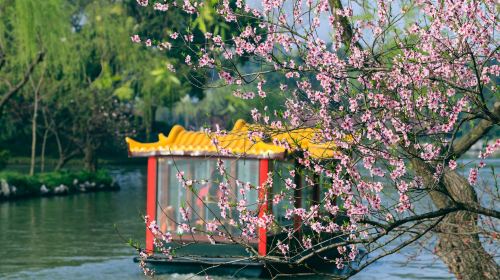 Slender West Lake Cruise