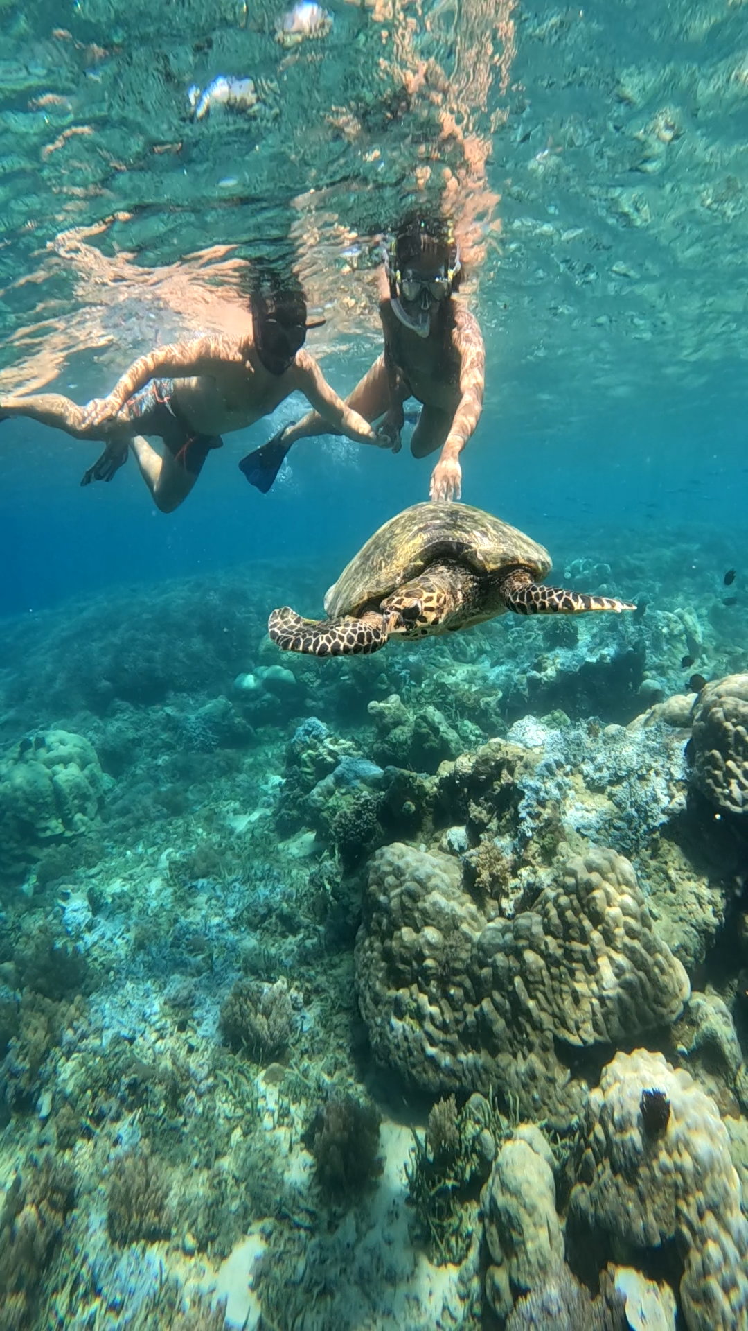 Secrate Island Private Snorkling Tour in lombok with go pro
