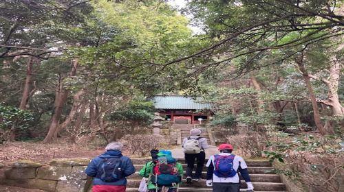 WeGuide Nokogiriyama: Guided Hiking Course Experience on the Boso Peninsula